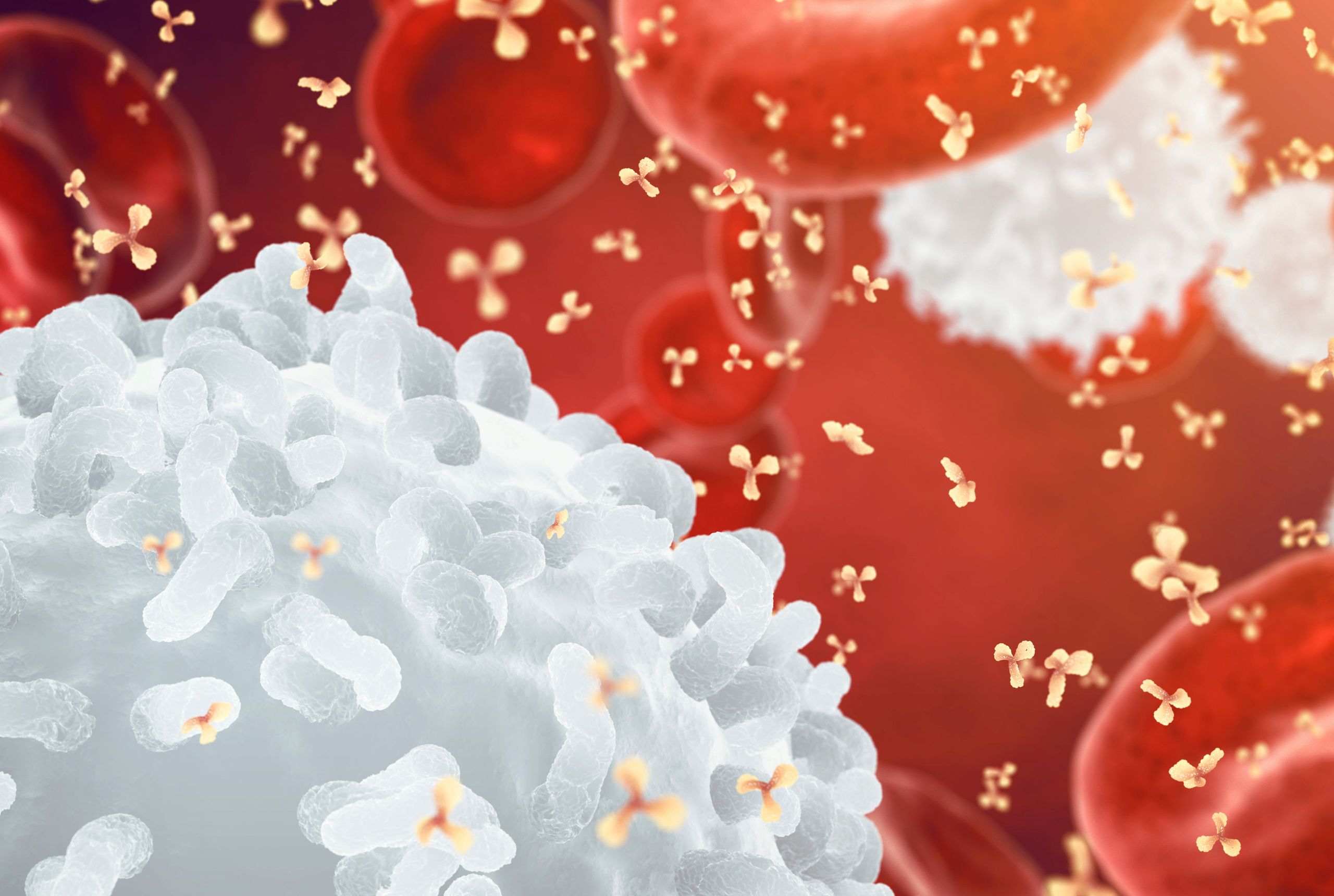 Immunterápia a rák kezelésében – hogyan működik, és mire jó a molekuláris profil?